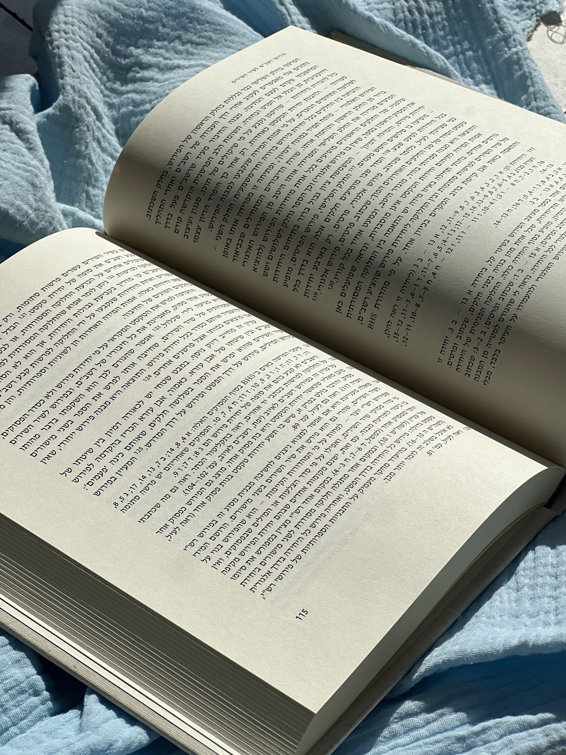 שרה יפת - פירוש רשב"ם לשיר השירים – תמונה 4