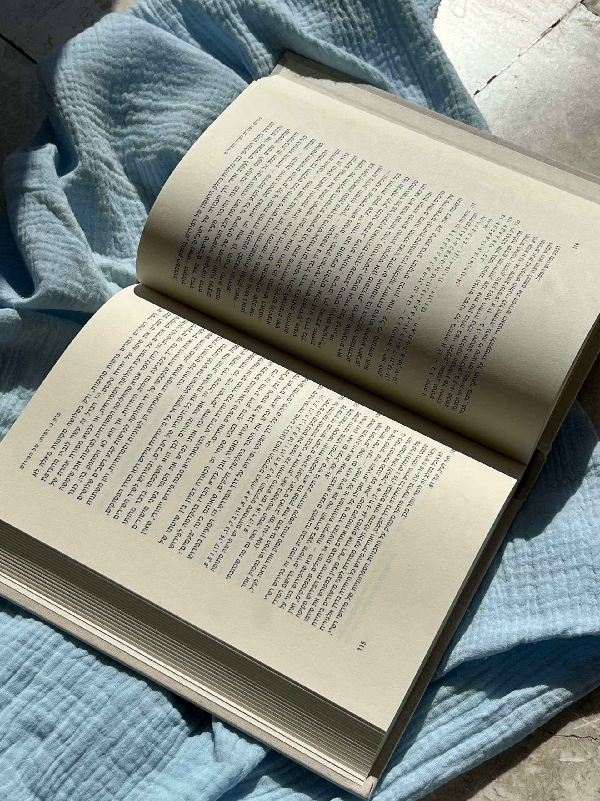 שרה יפת - פירוש רשב"ם לשיר השירים – תמונה 2