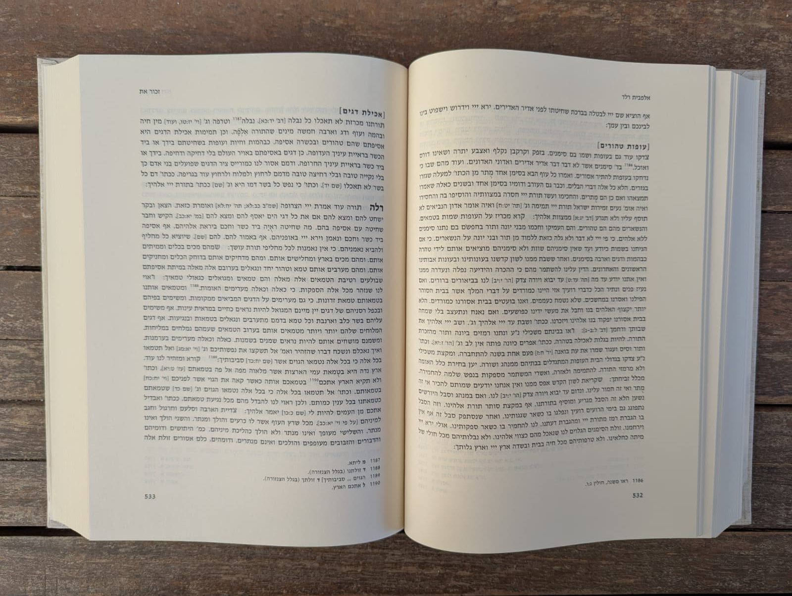 Daniel J. Lasker - Judah Hadassi: Eshkol ha-Kofer - Image 3